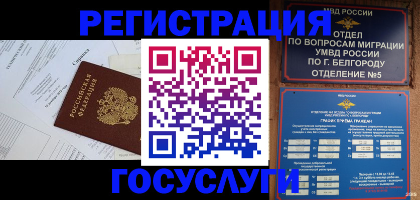 временная прописка в Полярных Зорях